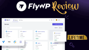FlyWP Review